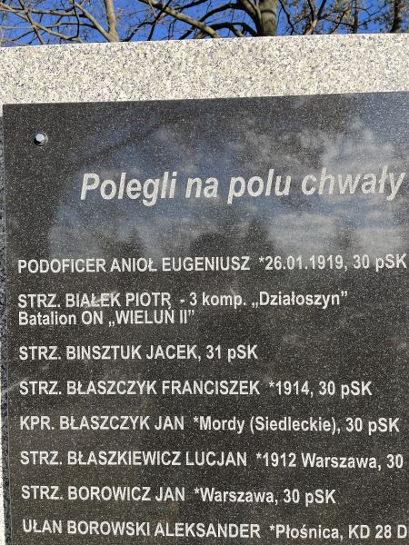 Plik:Anioł3.jpeg